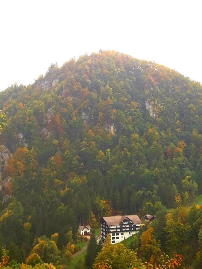 Vila Vraja Muntelui Moieciu de Jos Exterior foto
